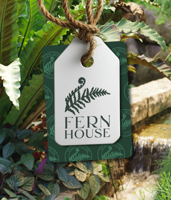 Studio Aurora client Fern House